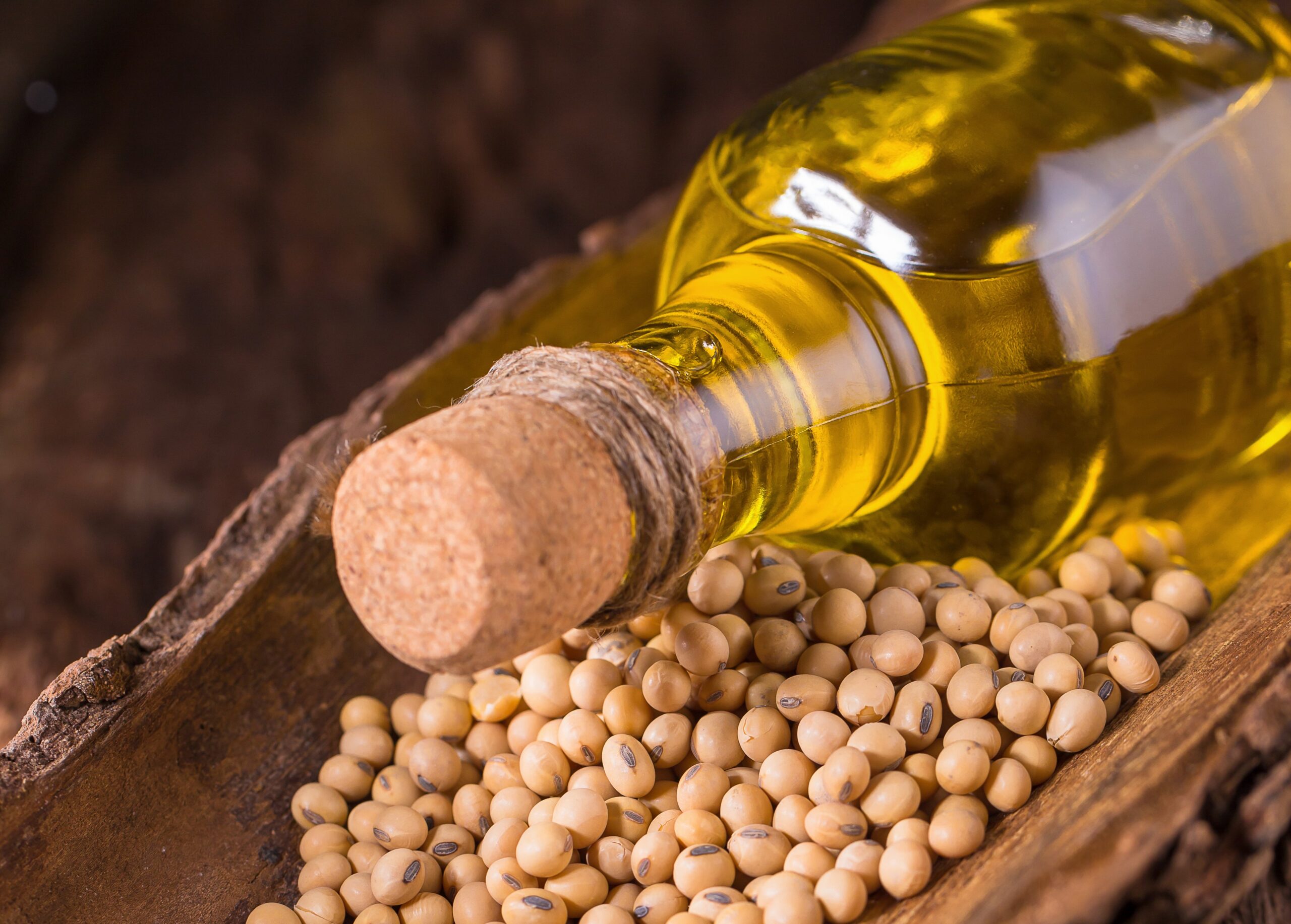 Las exportaciones argentinas de aceite de soja alcanzan un récord histórico