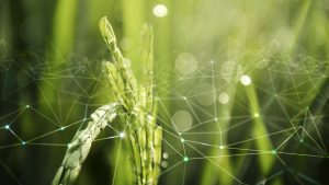 Rosario Agro-Tech: impulsando la innovación en el sector agrícola