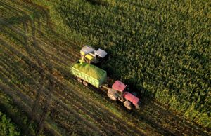 Nuevo esquema cambiario: se registraron ventas al exterior del agro por USD 3.861 millones