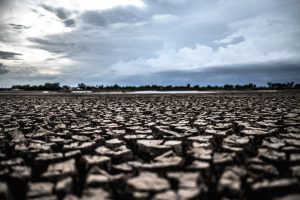 Las lluvias impulsan la siembra de trigo, pero la campaña de soja no repunta