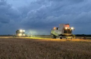 Entre Ríos: La cosecha de arroz avanza al 64% con rendimientos estables