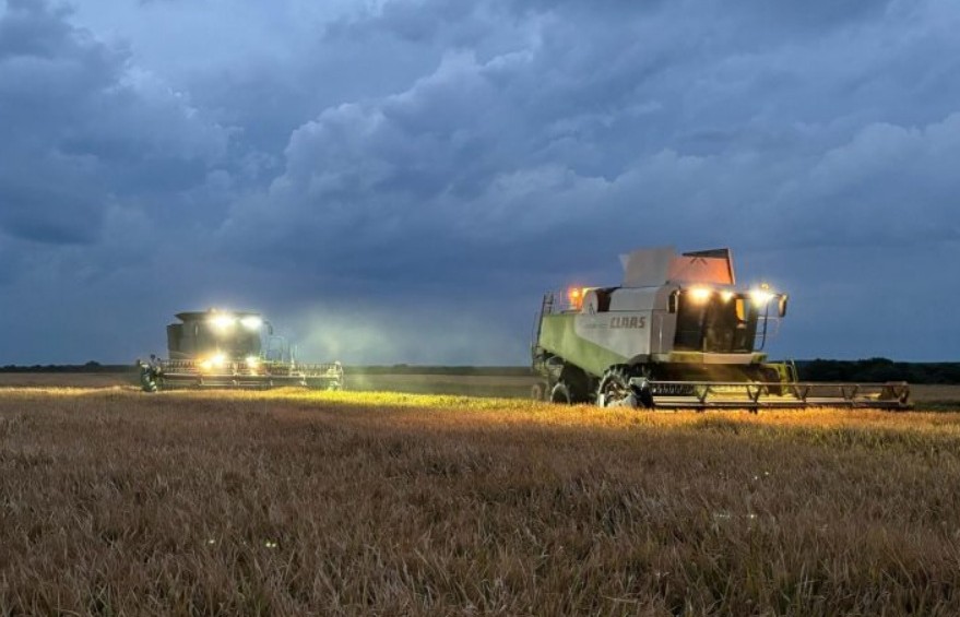 Entre Ríos: La cosecha de arroz avanza al 64% con rendimientos estables