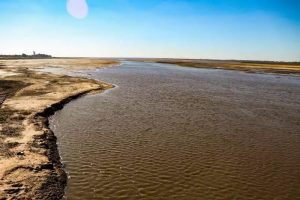 Cuenca Paraná-Paraguay: cómo producir ante un escenario de bajante