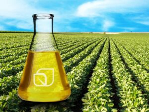 Biodiesel argentino en retroceso
