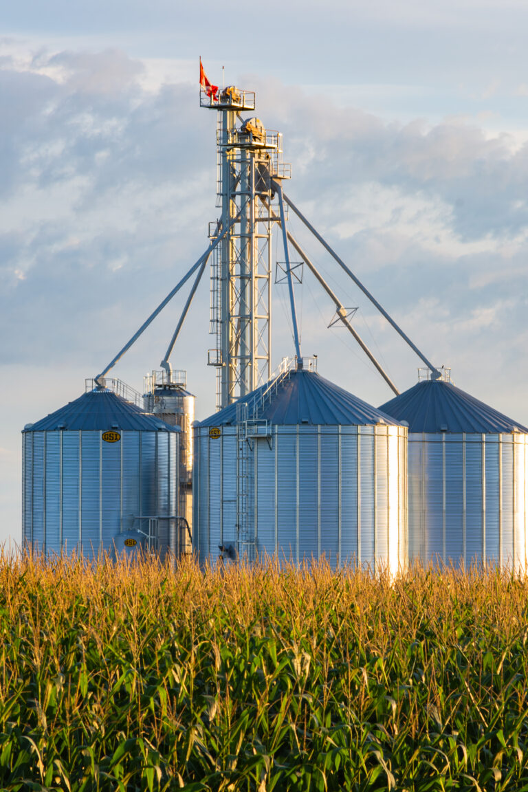 Los granos como biomasa: Consolidación de un nuevo paradigma - Expoagro - Edición YPF Agro