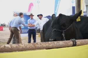 14/03 – LA JORNADA “AHORA, BRANGUS” ESTUVO MARCADA POR EL OPTIMISMO DEL SECTOR GANADERO