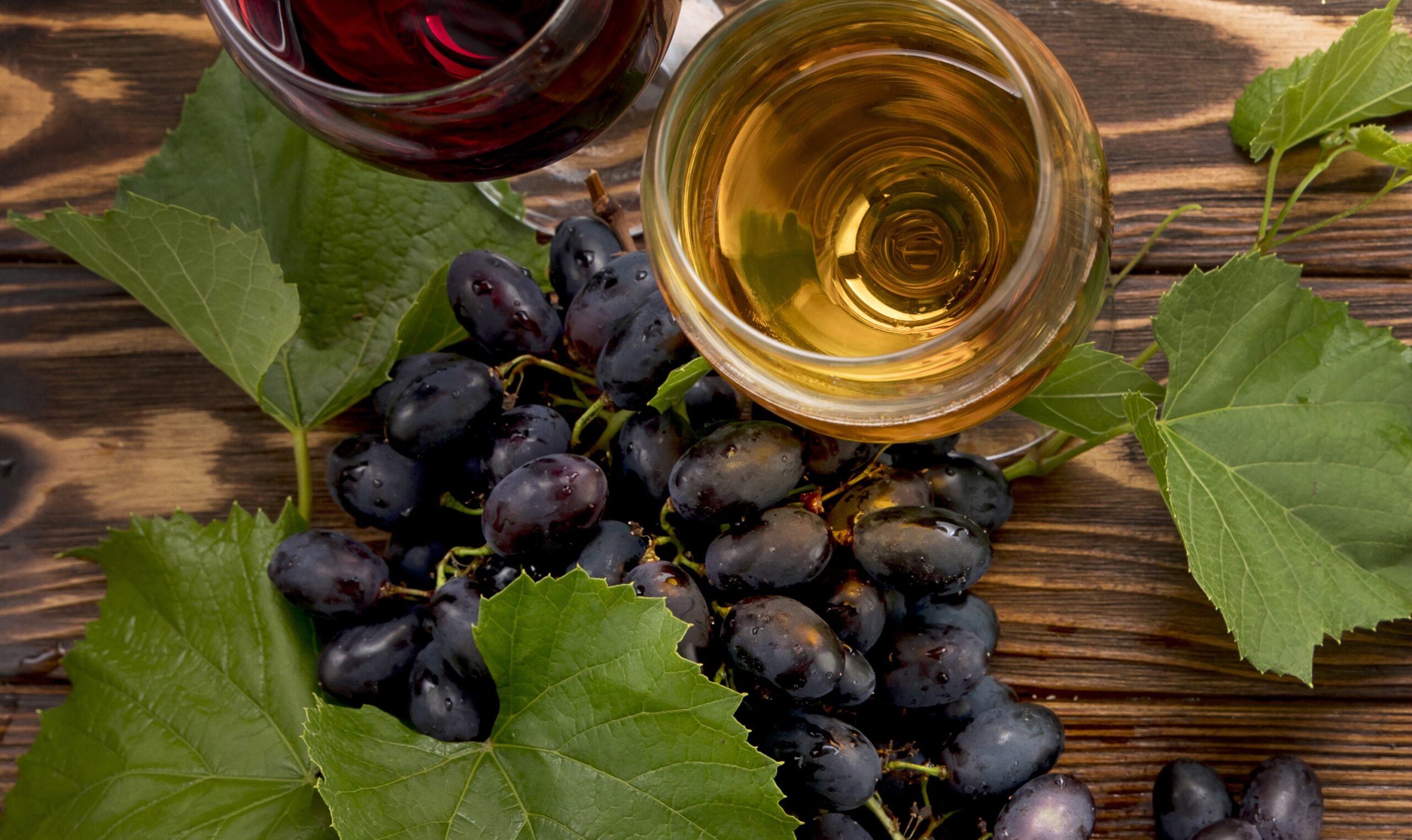 La microbiología como salvavidas del vino en crisis