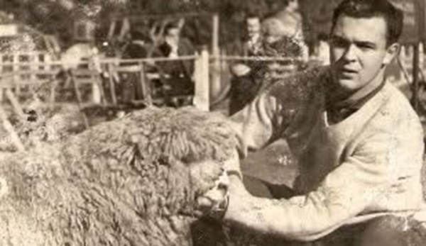 Moeraki, una tradición lanera que continúa con ADN femenino