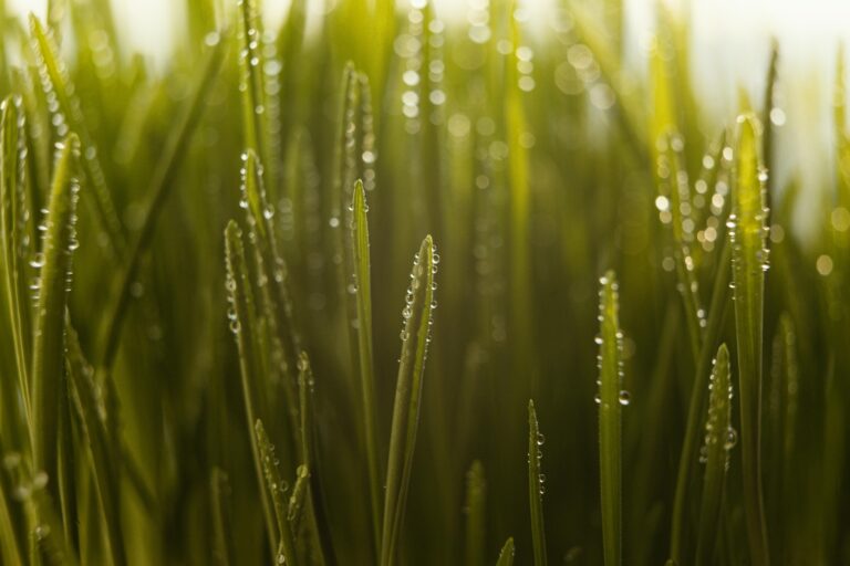 Clima: ¿Se avecina un semestre con lluvias intensas y bajas temperaturas?