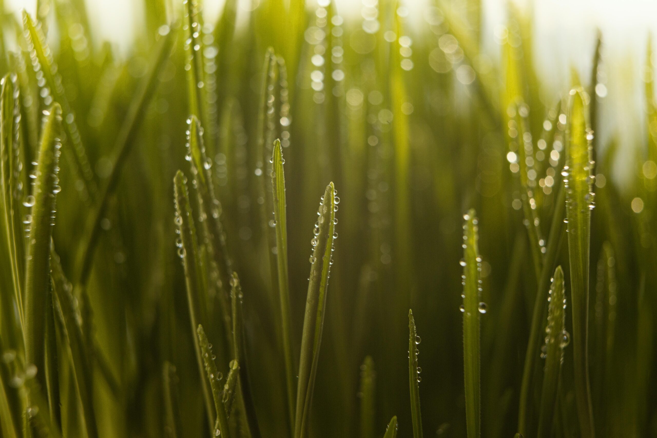 Clima: ¿Se avecina un semestre con lluvias intensas y bajas temperaturas?