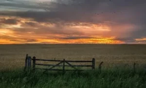 Informe de perspectivas agroclimáticas semanal