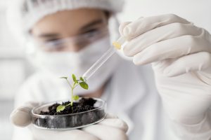 Abrieron las inscripciones para el Sello Bioproducto Argentino 2023