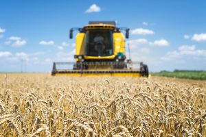 Transformó un campo ganadero en agrícola con manejo conservacionista