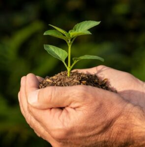 Día Internacional de la Tierra: El agro frente al desafío ambiental, soluciones que cuidan