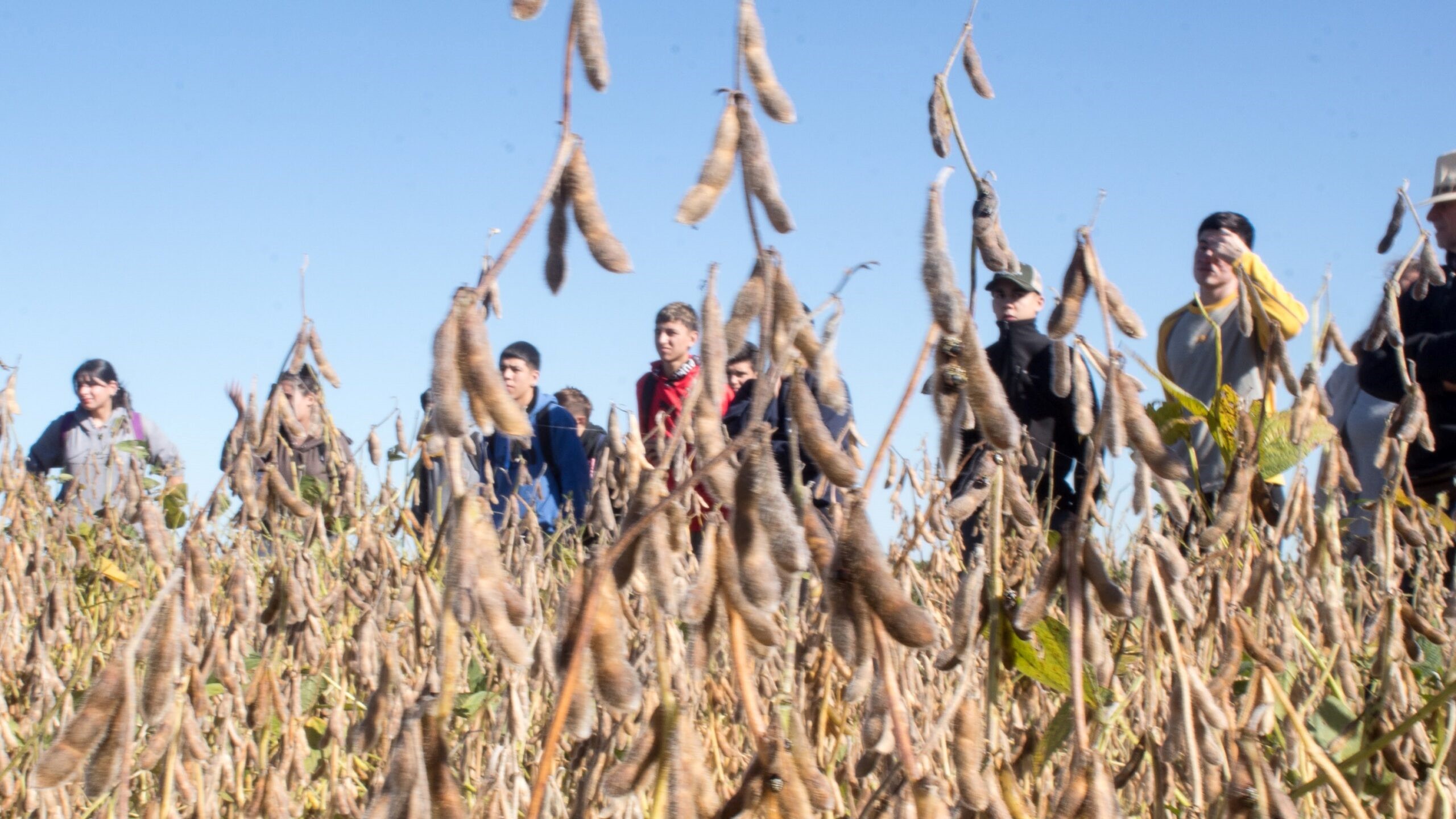 Explorando futuros agrónomos: jornada de Campo en Junín