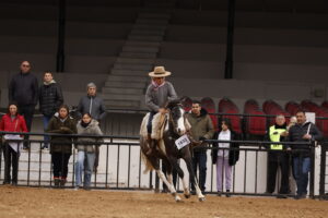 La “Doma entre Petisos” se convirtió en uno de los máximos atractivos de la Expo Rural 2025