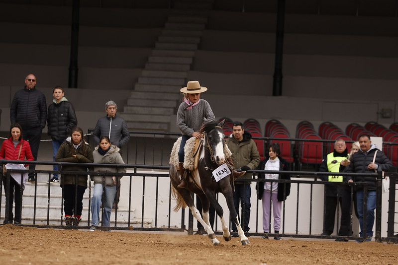 La “Doma entre Petisos” se convirtió en uno de los máximos atractivos de la Expo Rural 2025