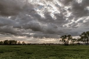 Las lluvias de otoño no alcanzaron para revertir la sequía