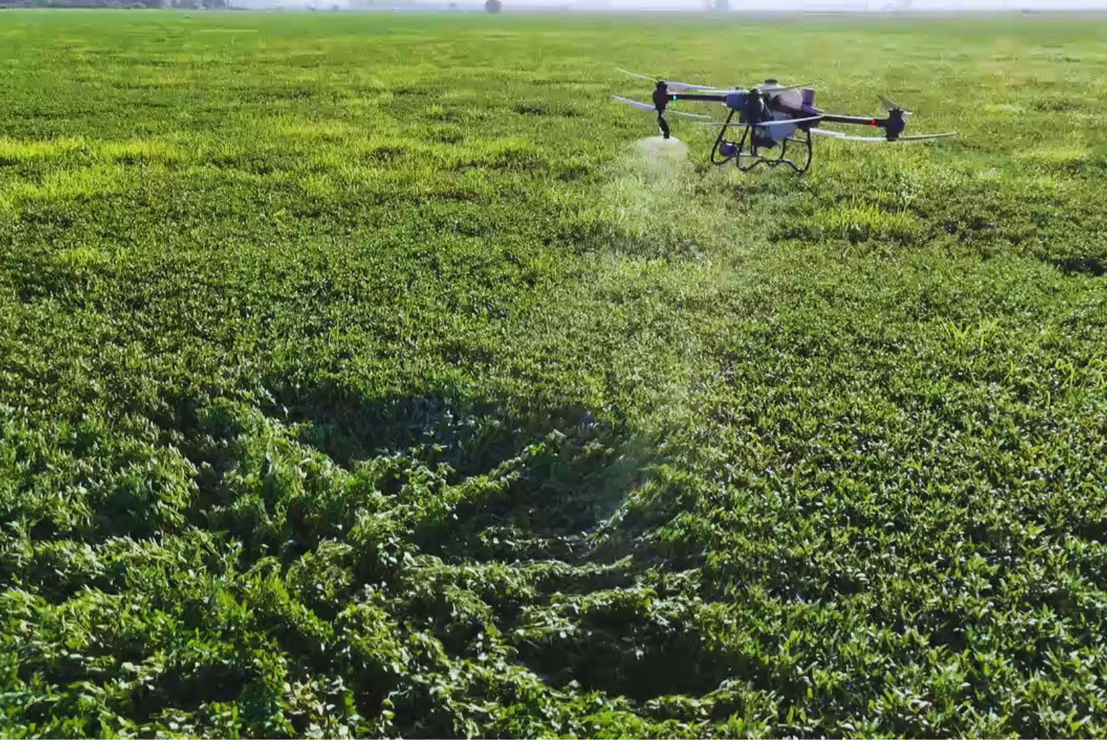 Drones aplicadores, una nueva era para el agro