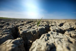 Pese a las lluvias, hay regiones que todavía sufren la sequía