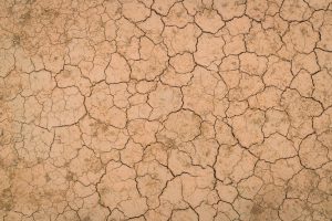 Sequía: extienden la emergencia agropecuaria en Río Negro, Santa Fe y La Pampa