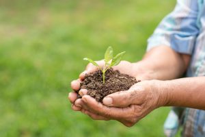 Sostenibilidad en la agricultura: un desafío constante para el futuro