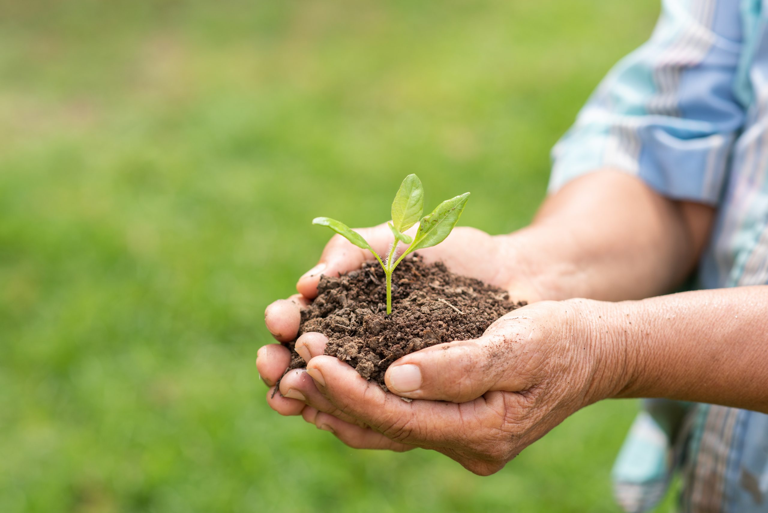 Sostenibilidad en la agricultura: un desafío constante para el futuro -  Expoagro 2024 - Edición YPF Agro