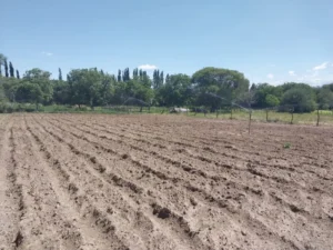 Energías renovables para la obtención de agua de riego subterránea