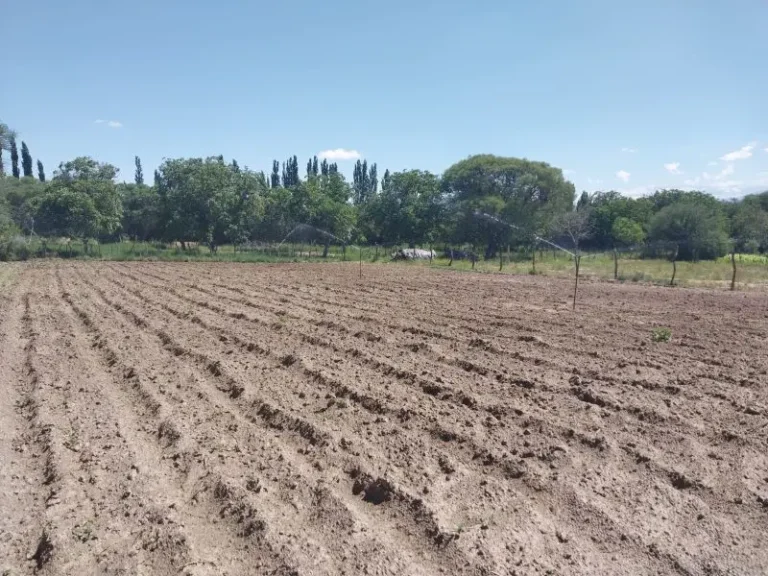 Energías renovables para la obtención de agua de riego subterránea