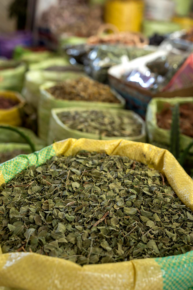 Europa, mercado clave para la exportación de yerba mate argentina