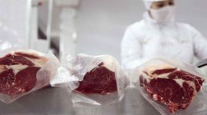 Las exportaciones de carne vacuna cierran el semestre con firmeza