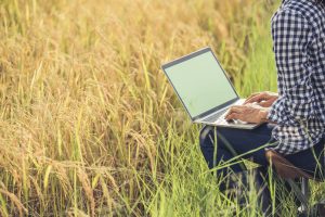 Cadena agroalimentaria: «La tendencia moderna es ir hacia una digitalización total»