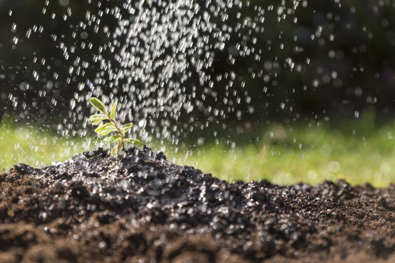 La suba de fertilizantes elevó el costo importador - Expoagro - Edición YPF Agro