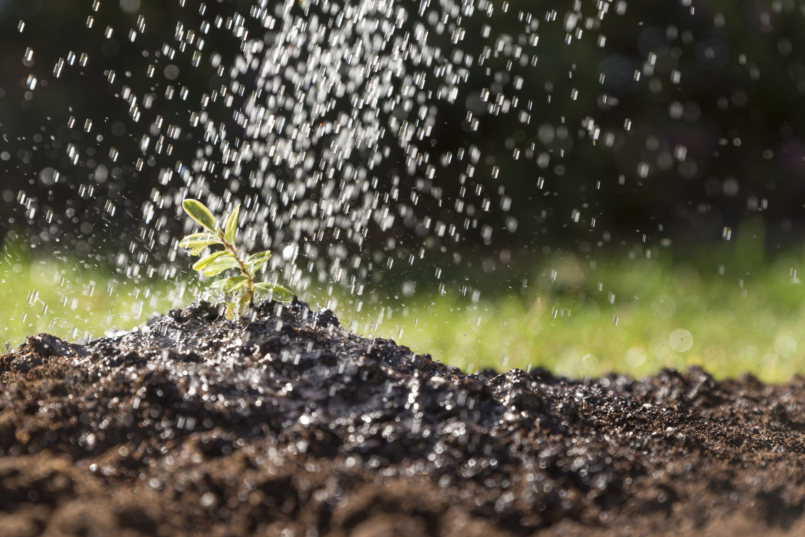 La suba de fertilizantes elevó el costo importador