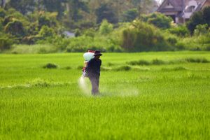 Agricultura en periurbano: una asignatura pendiente