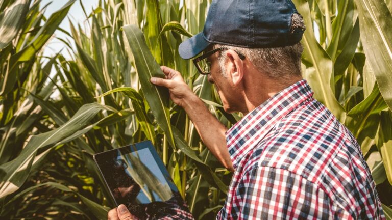 Zurich refuerza su cercanía con el agro y presenta herramientas de gestión de riesgos en la campaña