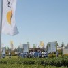 Don Mario, semillero oficial de Expoagro 2015, ya prepara el portfolio de las próximas campañas