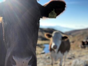 Mercado exportador: La política internacional retoma protagonismo en la escena global