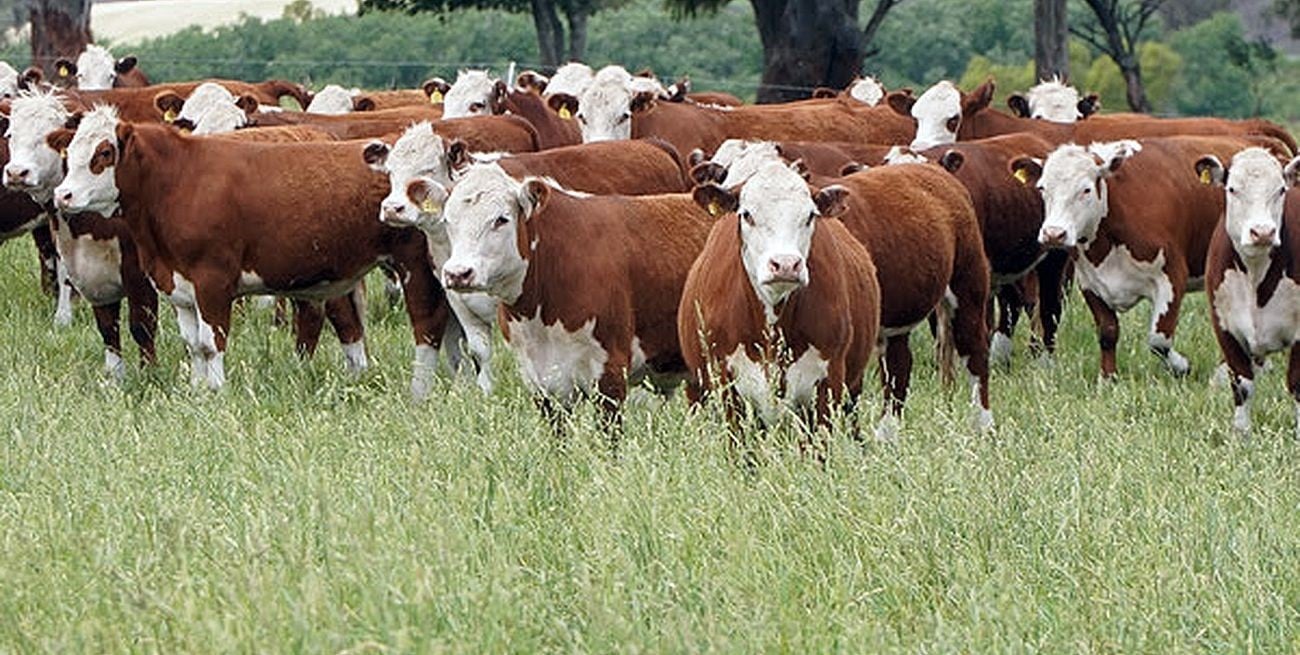 Jornada sobre “Producción Animal Orgánica”