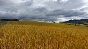 El Niño pone en alerta al país: dónde se esperan más lluvias y cómo prepararse
