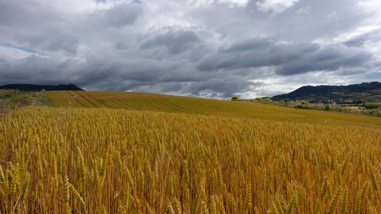 El Niño pone en alerta al país: dónde se esperan más lluvias y cómo prepararse