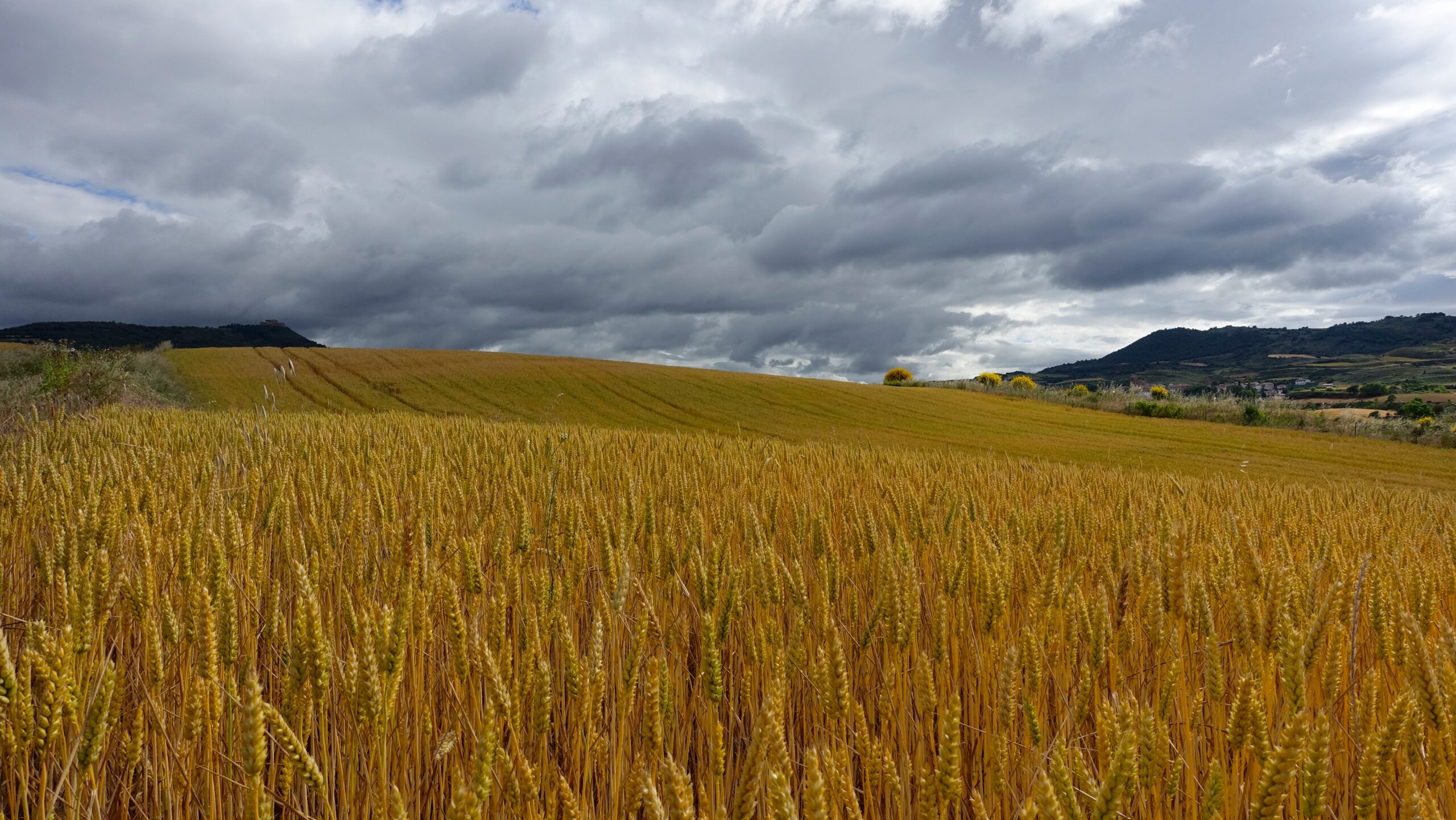 El Niño pone en alerta al país: dónde se esperan más lluvias y cómo prepararse