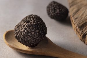 Trufas, los “diamantes negros” de Argentina