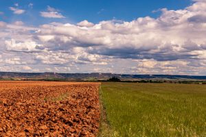 Cayeron un 48% las exportaciones del agro