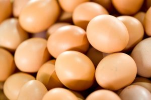 Argentina retoma el comercio de productos de origen aviar a Chile