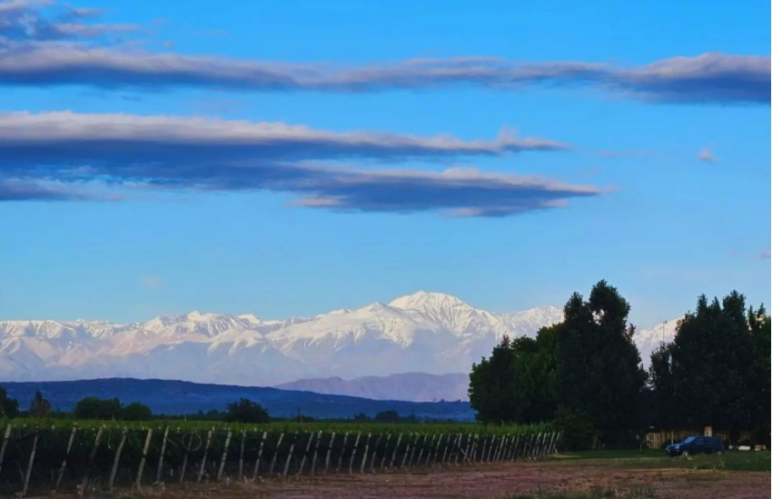 Productores promueven conservación en sistemas productivos