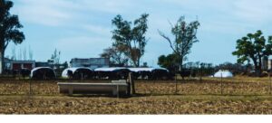 Planificación, clave para una gestión de agua eficiente en tambos