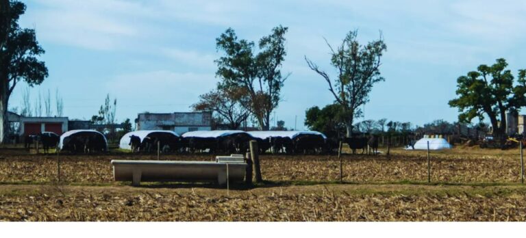 Planificación, clave para una gestión de agua eficiente en tambos