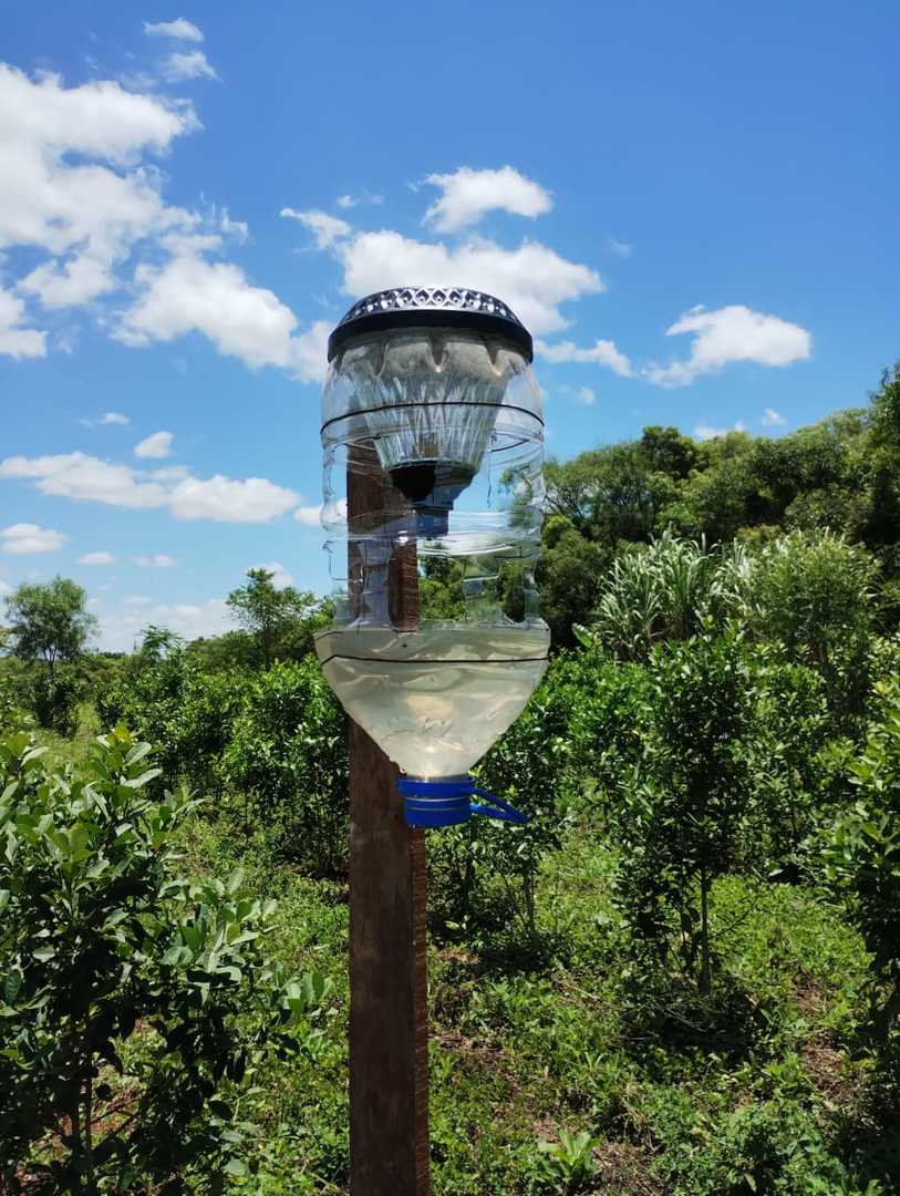 Yerba mate: Trampas lumínicas y la eficacia contra el marandová