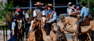 El jinete que se cansó de mirar, y se animó a correr en Rodeo